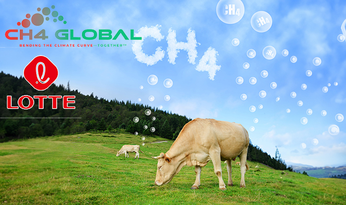 CH4 Global and Lotte to provide methane-reducing feed supplement to 4 million cattle with