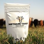 CH4 Global and Mitsubishi team up to reduce methane in Asia-Pacific