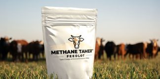 CH4 Global and Mitsubishi team up to reduce methane in Asia-Pacific