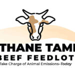 CH4 Global launches natural feed supplement Methane Tamer™ Beef Feedlot