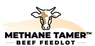 CH4 Global launches natural feed supplement Methane Tamer™ Beef Feedlot
