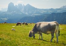 CH4 Global recognised by TIME Magazine for sustainability efforts