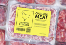 CULT Food Science partners with Everything But for cell-cultivated chicken