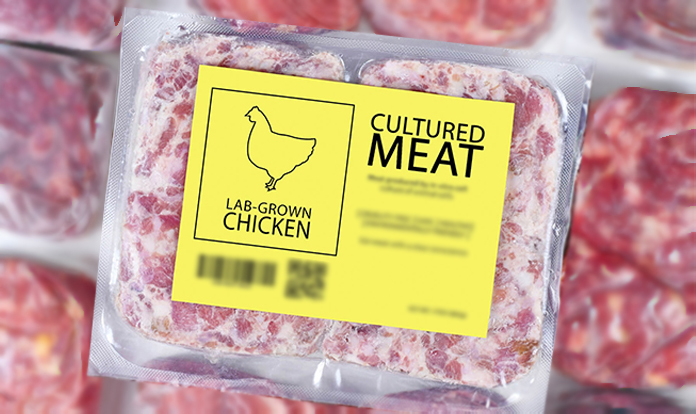 CULT Food Science partners with Everything But for cell-cultivated chicken
