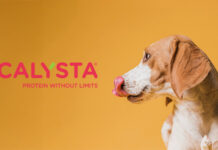 Calysta’s FeedKind Pet protein proven safe for dogs in long-term study