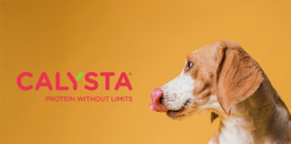 Calysta’s FeedKind Pet protein proven safe for dogs in long-term study