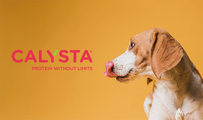 Calysta’s FeedKind Pet protein proven safe for dogs in long-term study