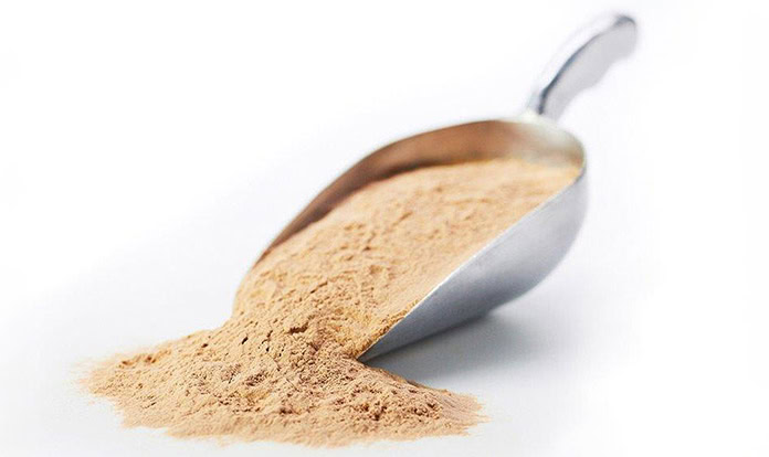 Calysta’s pet protein now available in Europe