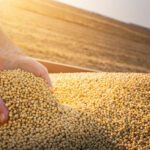 Canadian feed industry comes together at Animal Nutrition Conference