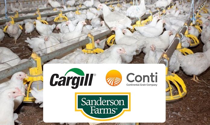 Cargill, Continental Grain to create poultry company