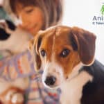 Cargill invests in AnimalBiome for pets health