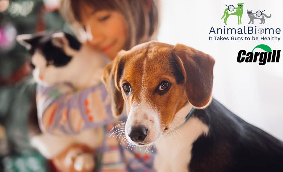 Cargill invests in AnimalBiome for pets health