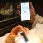 Cargill launches new non-invasive NIR technology REVEAL™ Layers