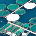 Cargill partners with farmers to protecting oceans