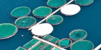 Cargill partners with farmers to protecting oceans