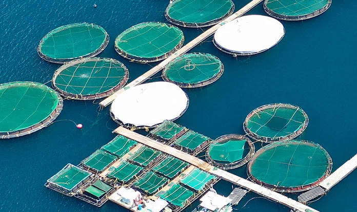 Cargill partners with farmers to protecting oceans