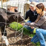 Cargill ranks among top companies on farm animal welfare