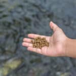 Cargill starts to produce AquaXcel® in Indonesia