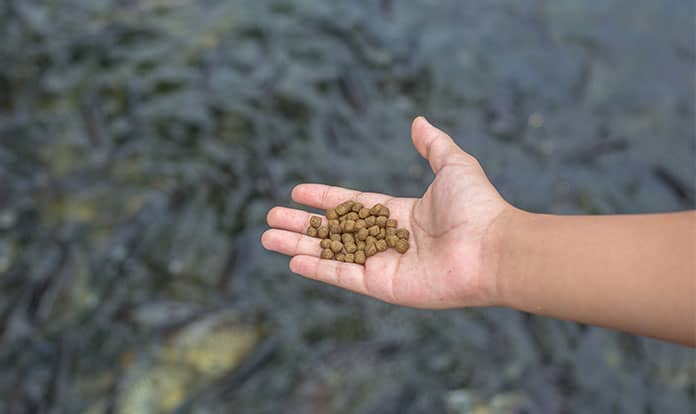 Cargill starts to produce AquaXcel® in Indonesia