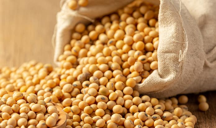 Cargill to build new soybean processing facility in Missouri
