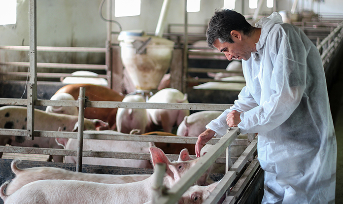 Cargill to host Animal Nutrition Summit in Philippines