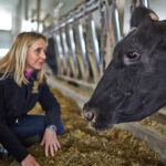 Cargill to invest $90 million in US beef plant