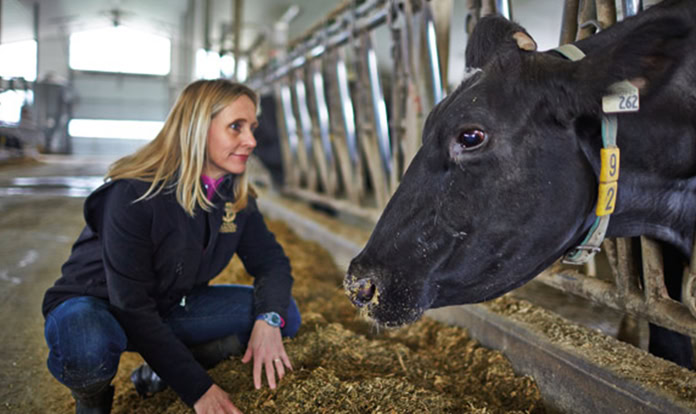 Cargill to invest $90 million in US beef plant