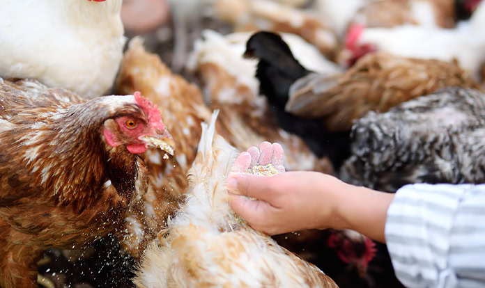 Cargill to present new insights on mycotoxins at WMF