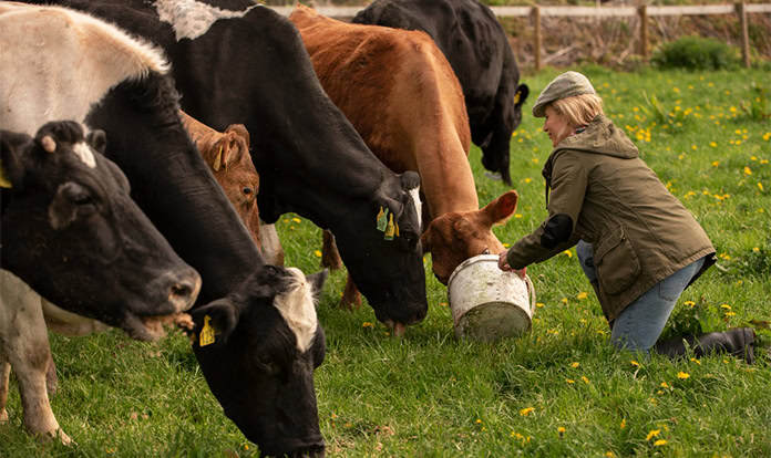 Carr’s Group and Vétalis partner for sustainable livestock supplements