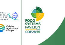 Cellular agriculture associations participate in COP28 to draw attention to protein diversification