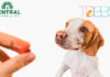 Central Garden & Pet acquires pet treat company TDBBS
