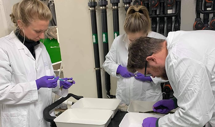 Cermaq and Benchmark granted vaccine research fund 