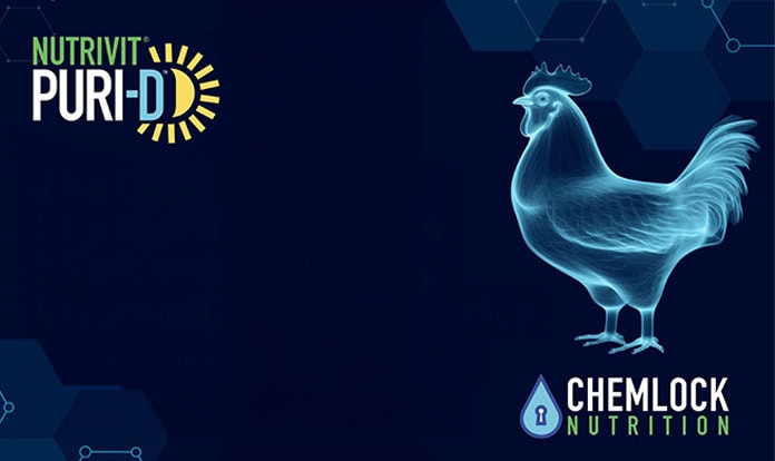 Chemlock Nutrition raises quality expectations for 25OHD3 