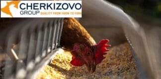 Cherkizovo Group maintains leadership in broiler meat market