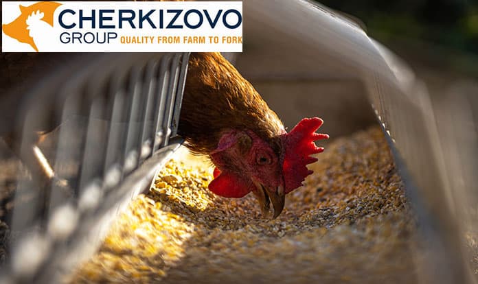 Cherkizovo Group maintains leadership in broiler meat market