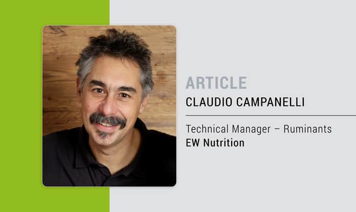 How do endotoxins and rumen health influence cow performance?