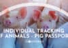 Cloudfarms, SUISAG launch app to track pigs from birth to processing