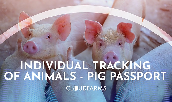 Cloudfarms, SUISAG launch app to track pigs from birth to processing
