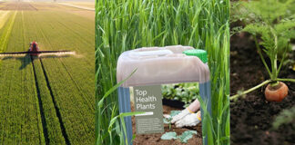 Colruyt and The Seaweed uses seaweed to improve soil