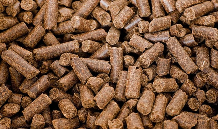 Compound feed production expected to slightly decrease in 2021