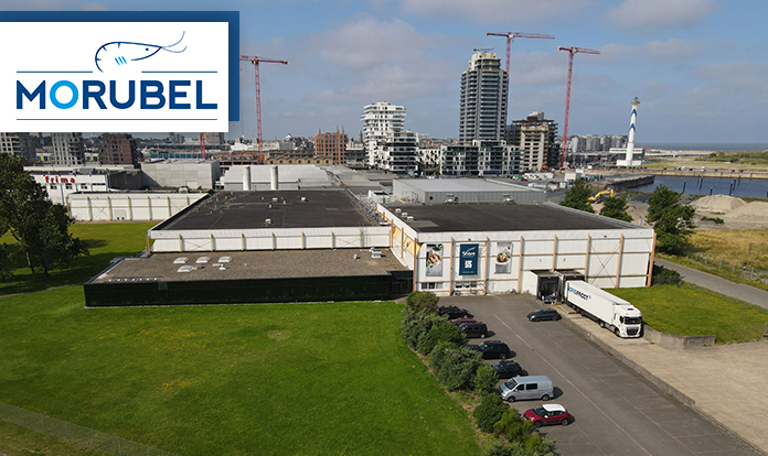 Cooke acquires Belgian shrimp processor Morubel