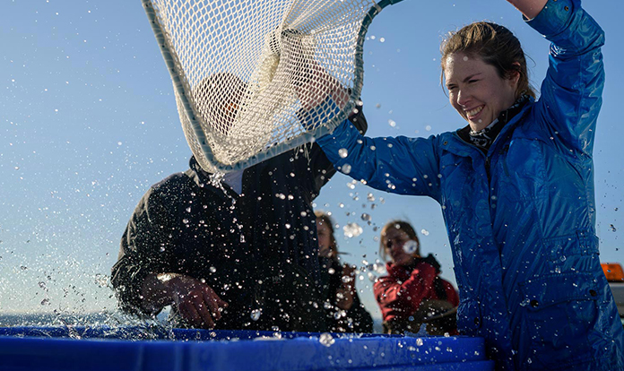 Cooke acquires seafood manufacturer Slade Gorton