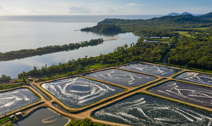 Cooke enters into agreement for acquisition of Tassal