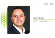 Marine macroalgae in animal nutrition: Current market landscape, technical challenges, and future potential