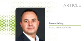 Marine macroalgae in animal nutrition: Current market landscape, technical challenges, and future potential