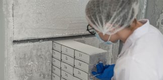 Czech start-up unveils cutting-edge cell bank for cultivated meat