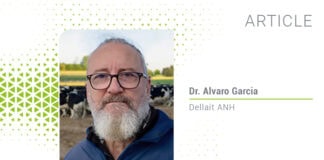 DDGS as a postbiotic feed ingredient in dairy cows