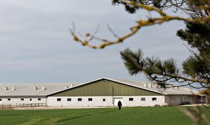 DSM-Novozymes Alliance launches its new generation phytase, HiPhorius