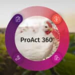 DSM-Novozymes Alliance launches its second-generation protease