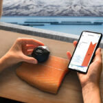 DSM launches Digital SalmoFan™ colour measurement tool